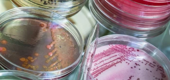 blog bacterie infectie