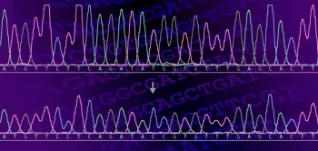 blog kir dna