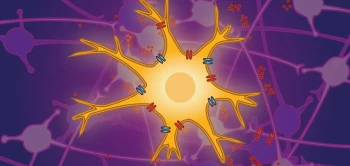 blog microglia