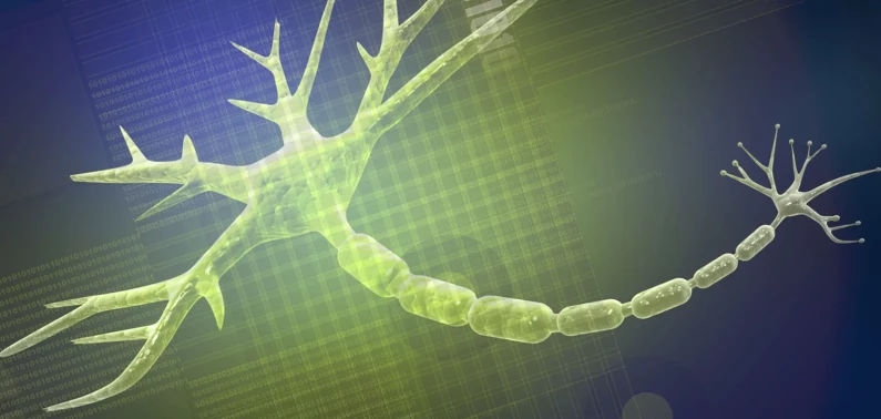 Nieuw DEC-lid met expertise in neurobiologie 