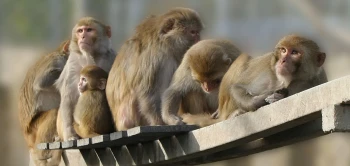 blog tbscience2018 v3