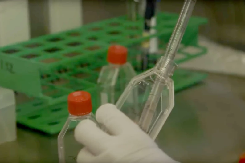 Experimenting on animals: Inside the monkey lab