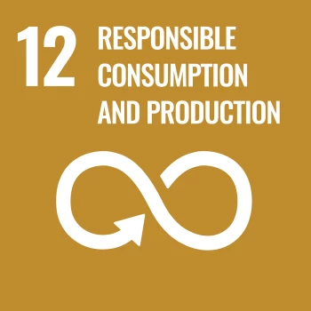 SDG icon EN 12
