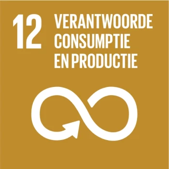 SDG icon NL 12