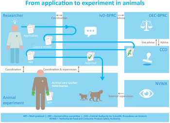 application experiment