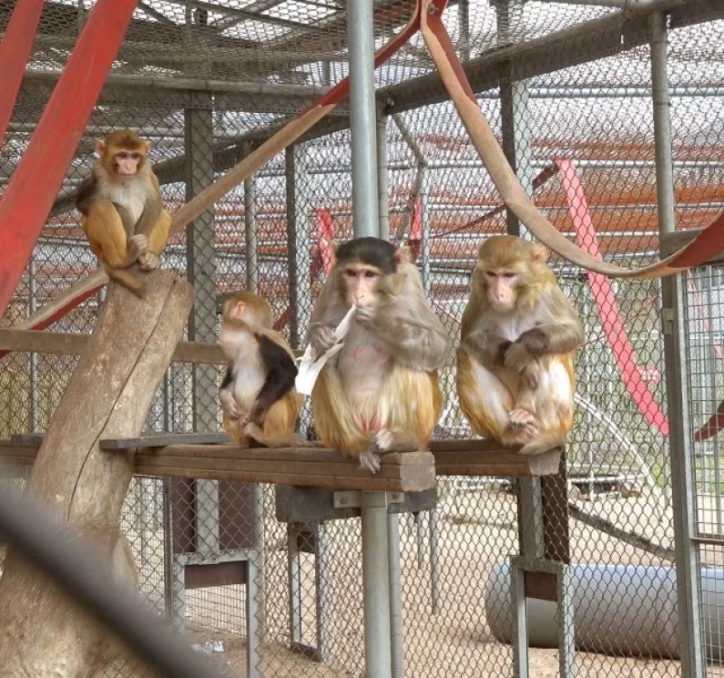 Proefdierverzorger M/V