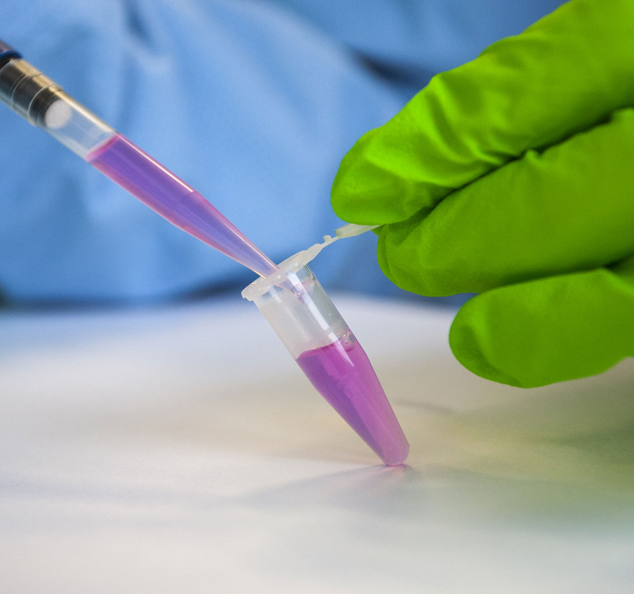 Research not involving animal testing | BPRC
